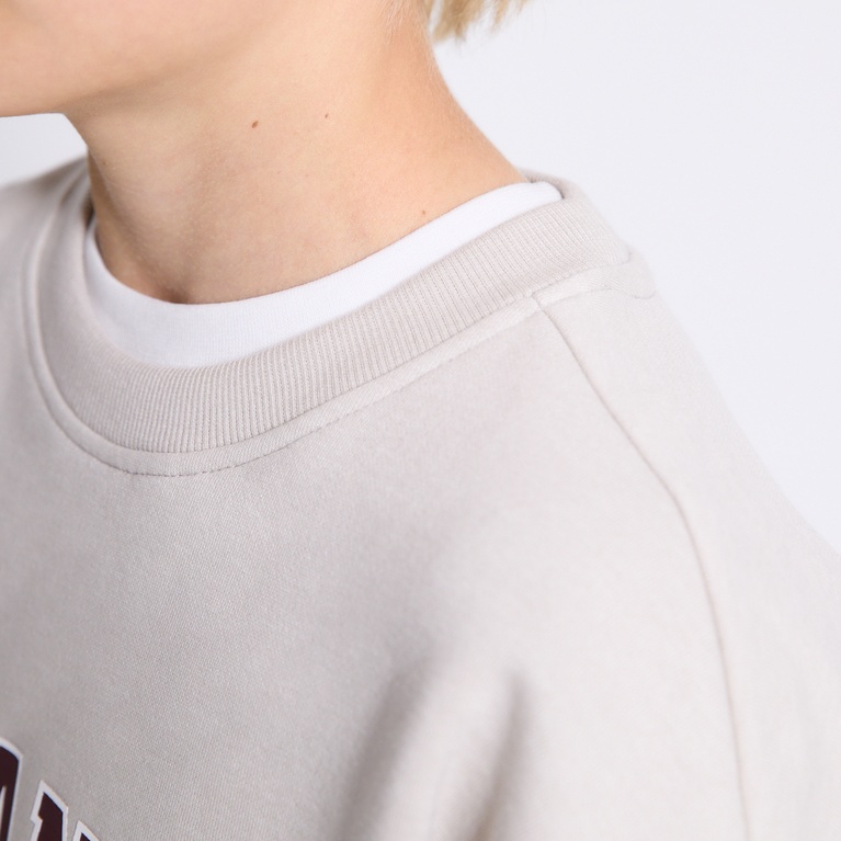 Printed Sweatshirt "Vilgot" Beige 3